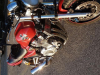 Baron Rouge XJR1300 04