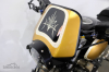 Wales XJR1300 30