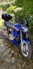 FB IMG 1552857584896