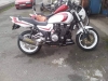 MarkP XJR1200