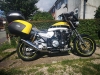 xjr 2019062105 xjr 2019062105