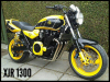 xjrcafe nl 53011 065