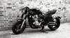 Wisdom Wood xjr1300 mucle roadster 2