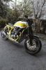 yellow xjr