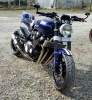 Brad XJR1300 03 Brad XJR1300 03