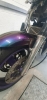 Flip Painted XJR1300 06
