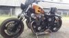 FB IMG 1562 Bobber