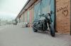Brat Tracker XJR1300 16