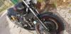 XJR1300 Samy Mus ~02 XJR1300 Samy Mus ~02