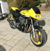 AutoKink XJR1200 03